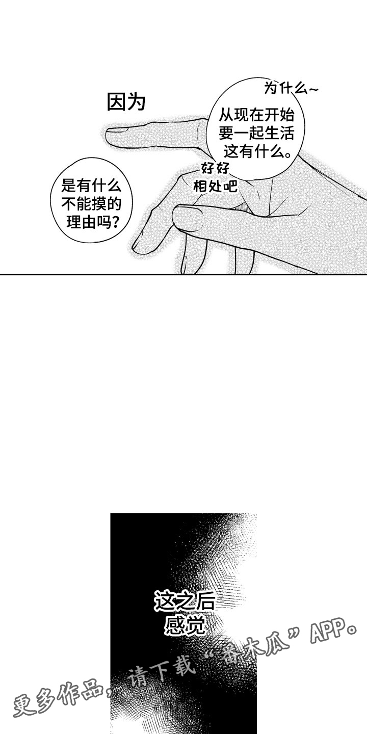19.jpg