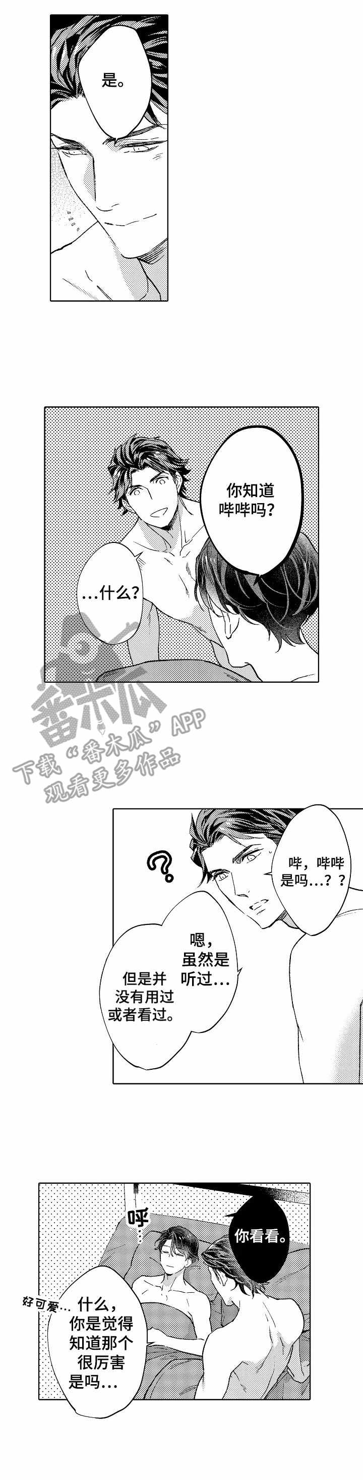 13.jpg