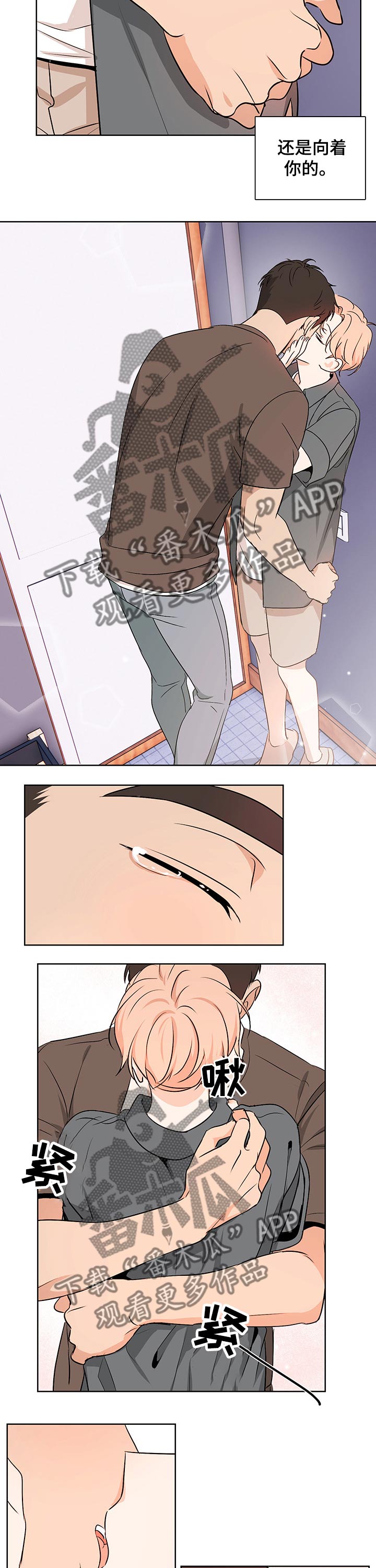 5.jpg