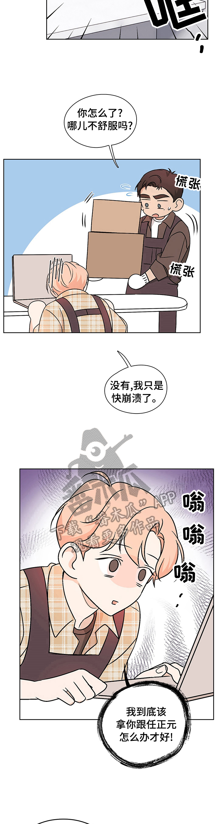5.jpg