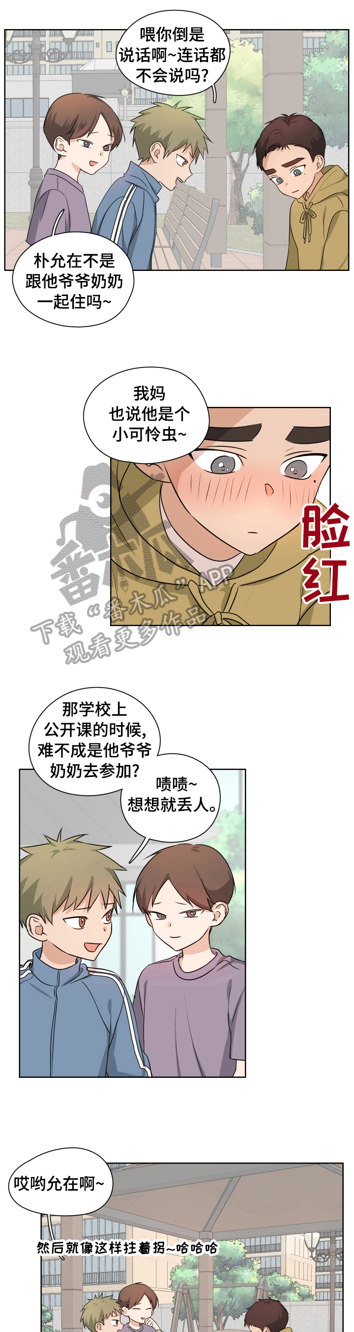 5.jpg