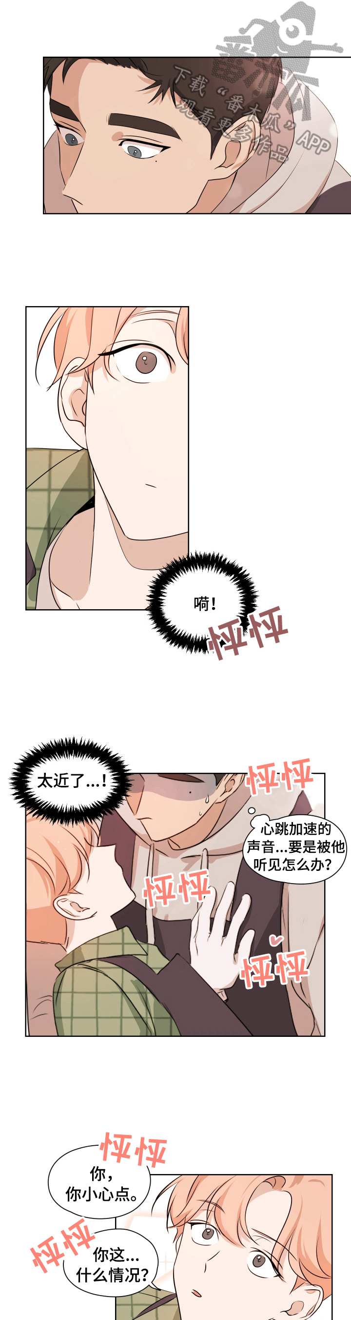1.jpg
