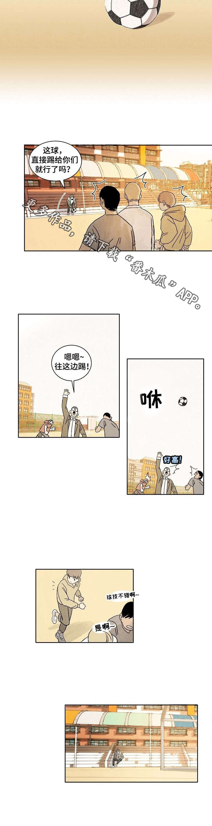 5.jpg