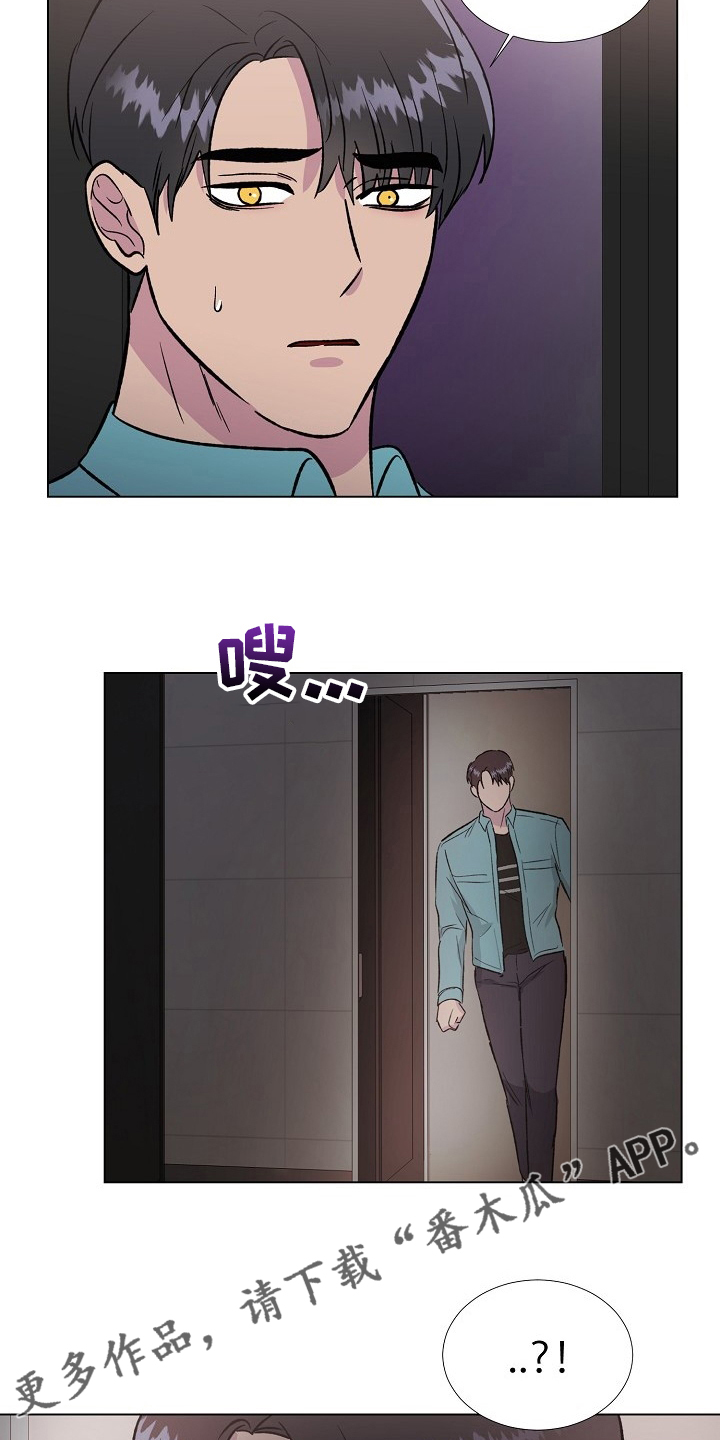 20.jpg