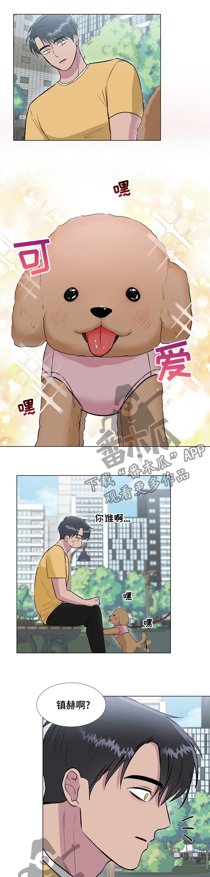 8.jpg
