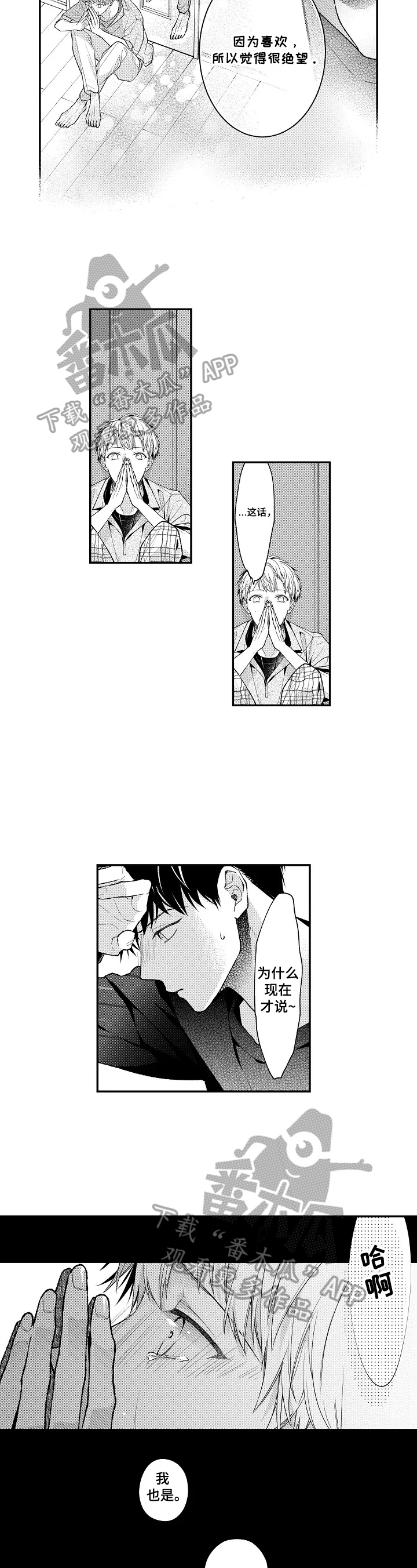 5.jpg