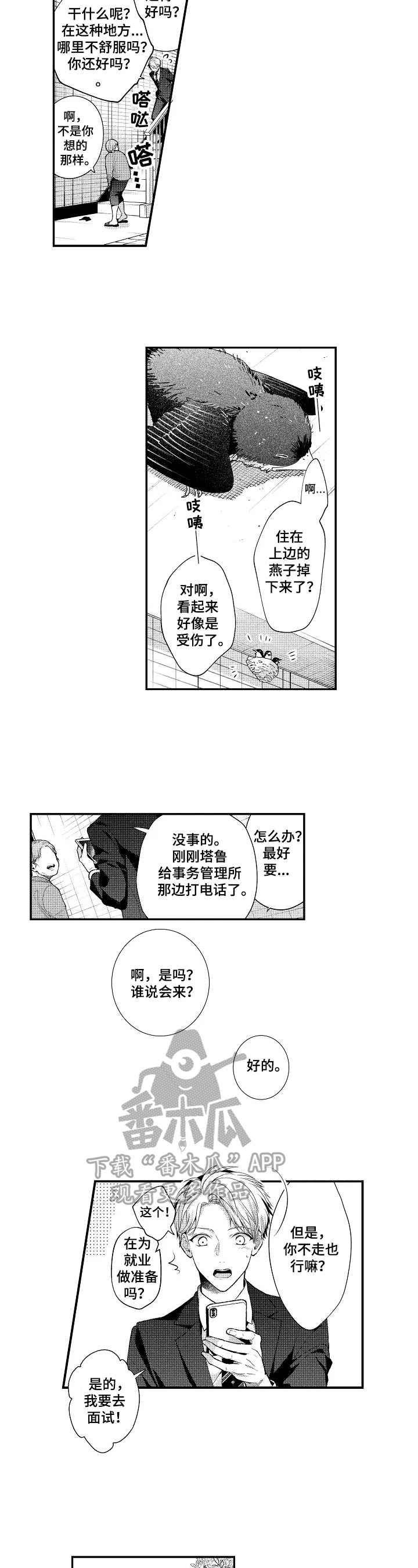 6.jpg