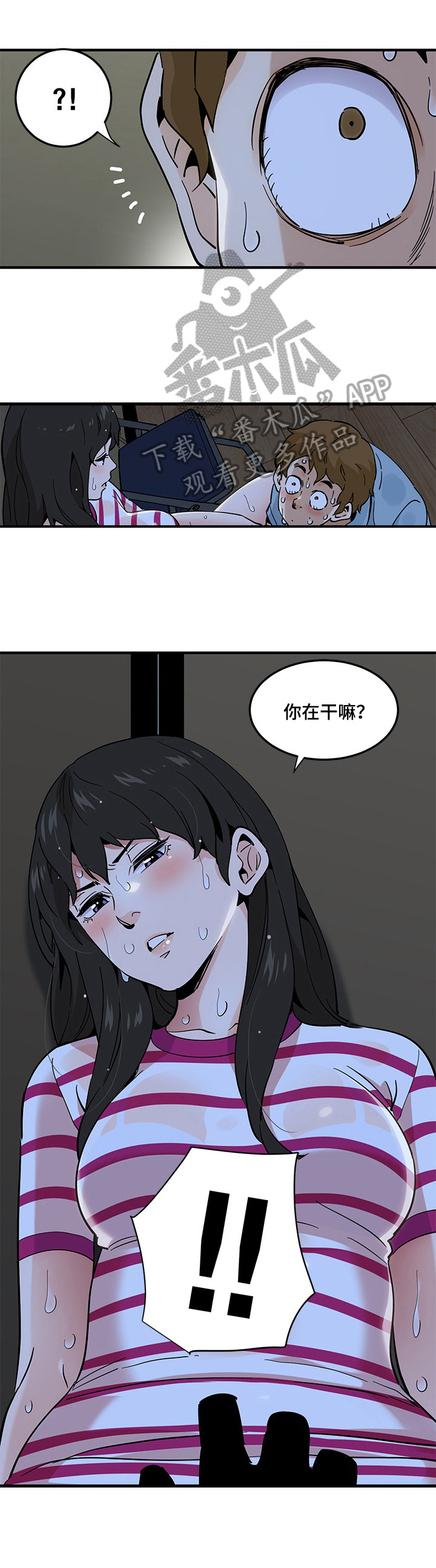 5.jpg
