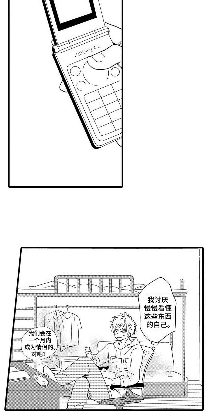 17.jpg