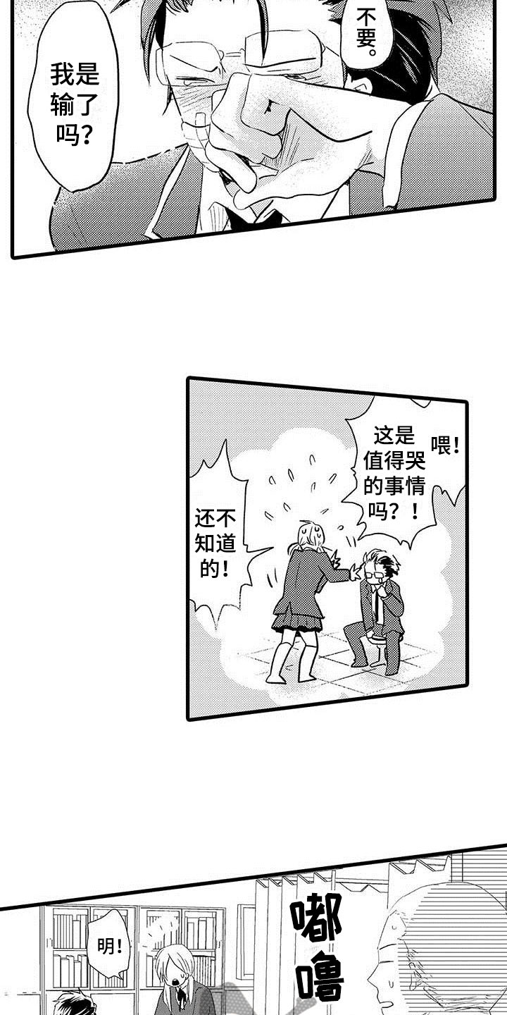 13.jpg