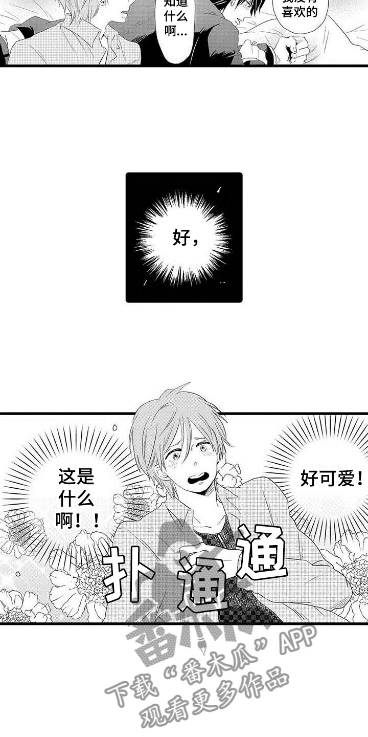 8.jpg