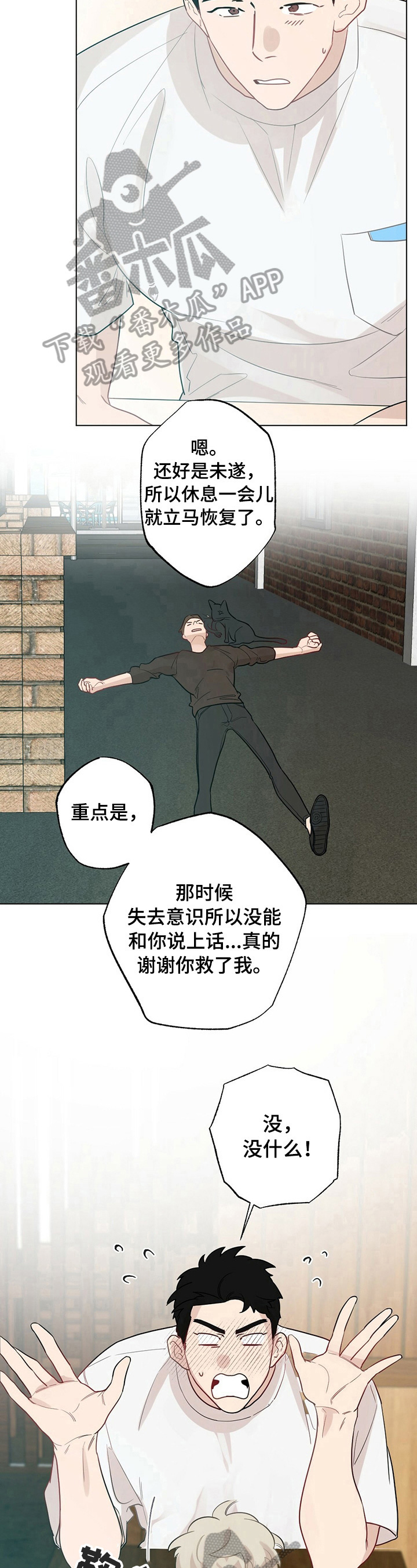 4.jpg