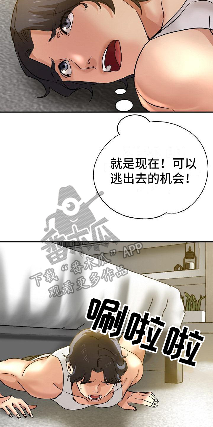 15.jpg