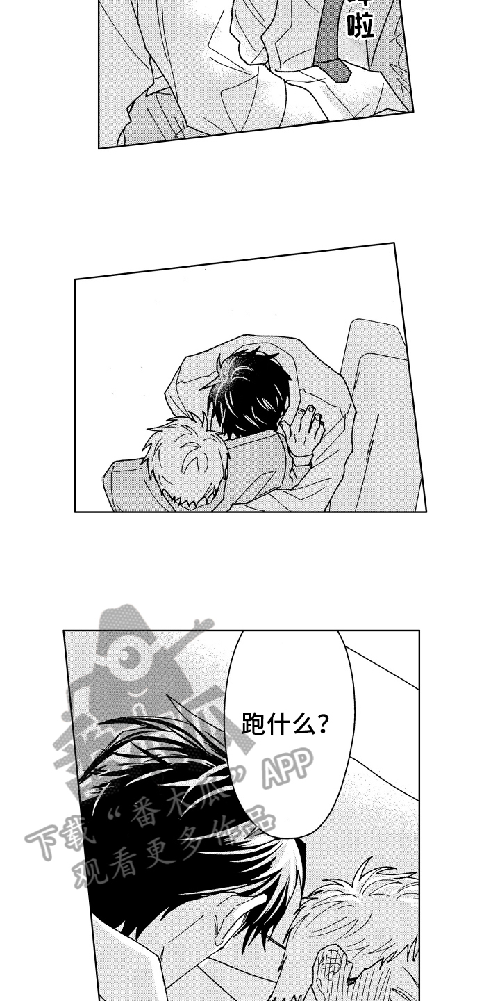 11.jpg