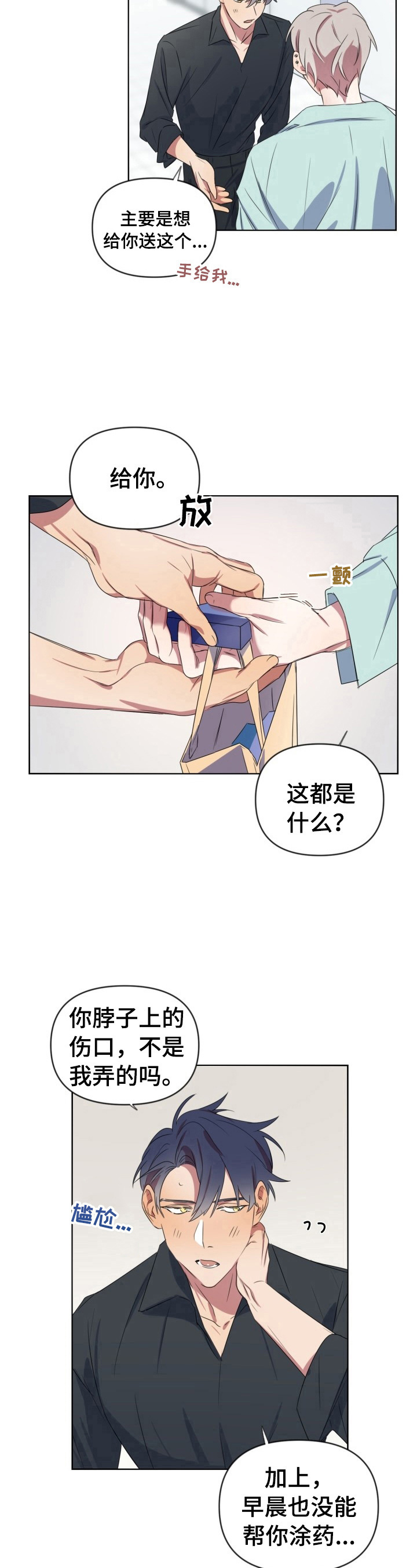 5.jpg