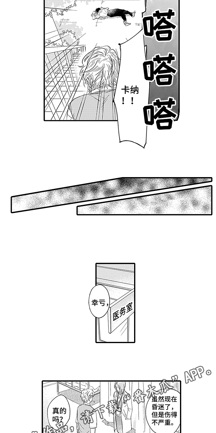 11.jpg