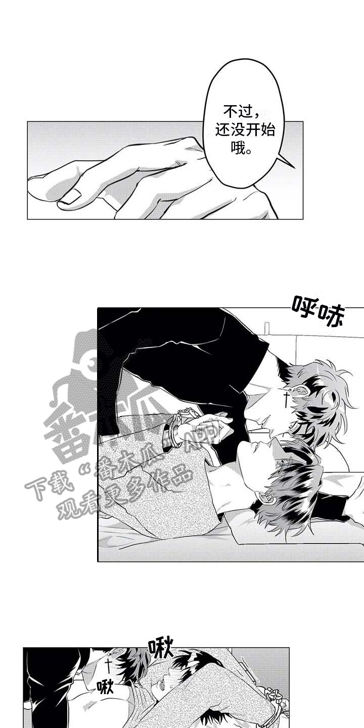 11.jpg