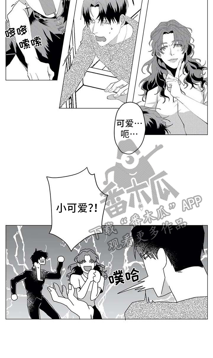 14.jpg