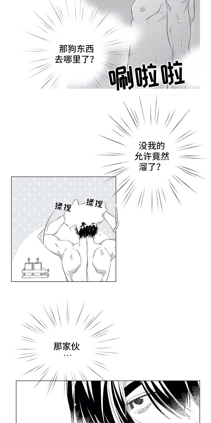 10.jpg
