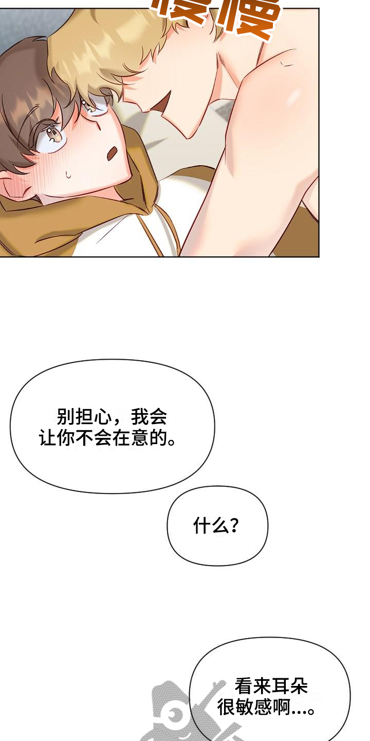 15.jpg