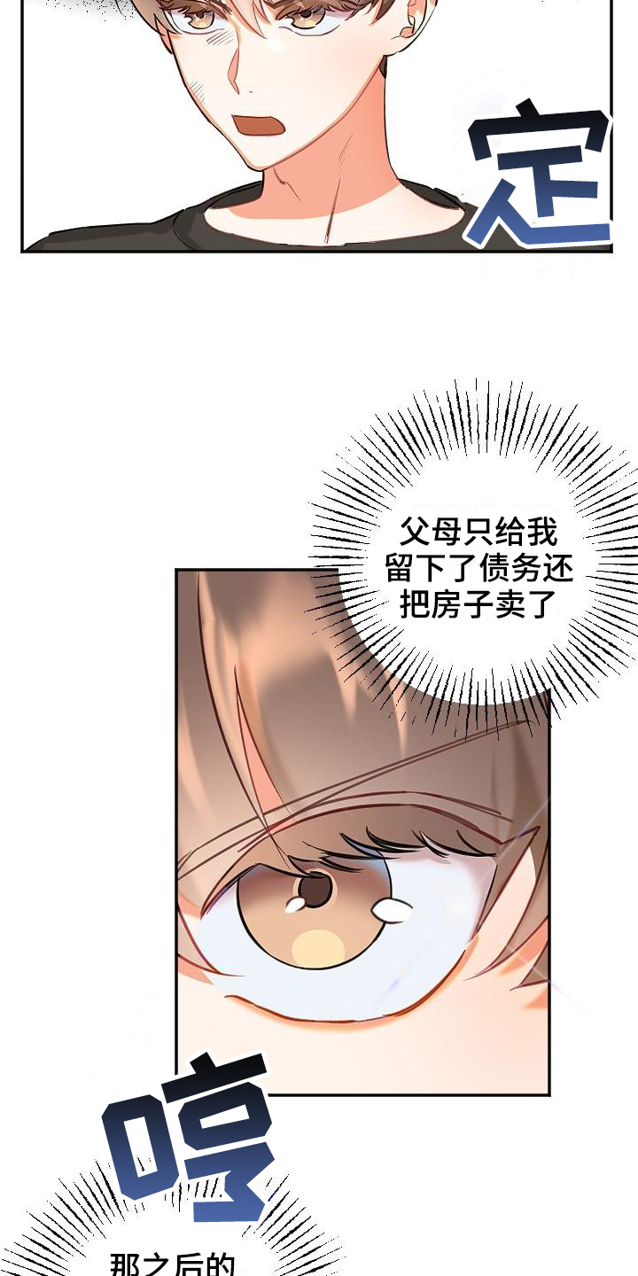 17.jpg