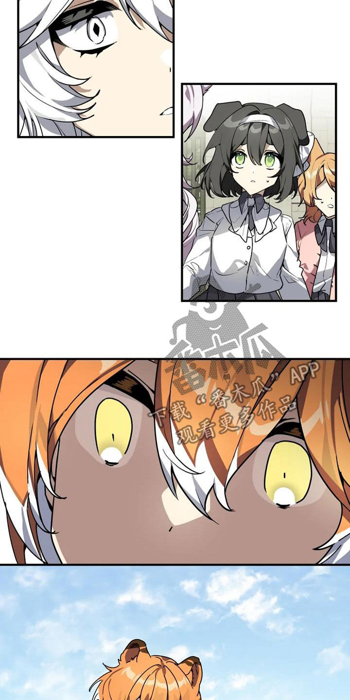12.jpg
