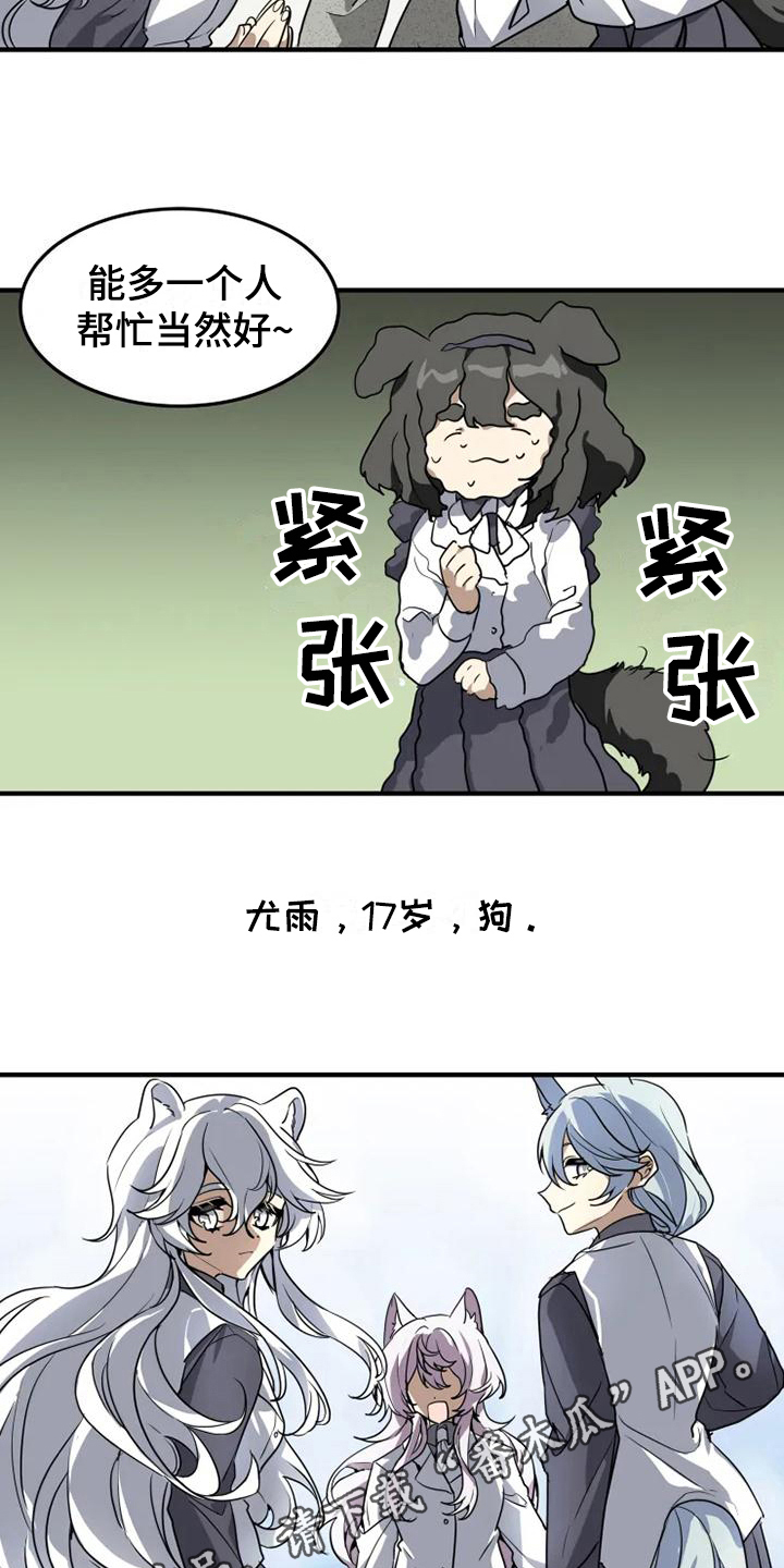 13.jpg