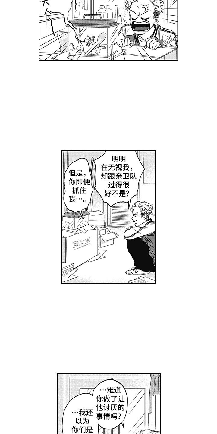 5.jpg