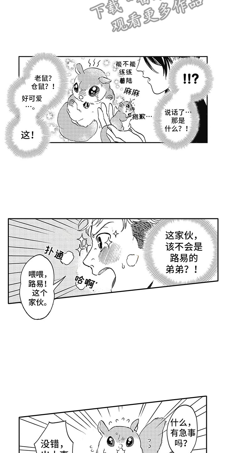 15.jpg