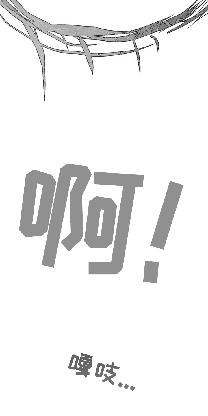 24.jpg
