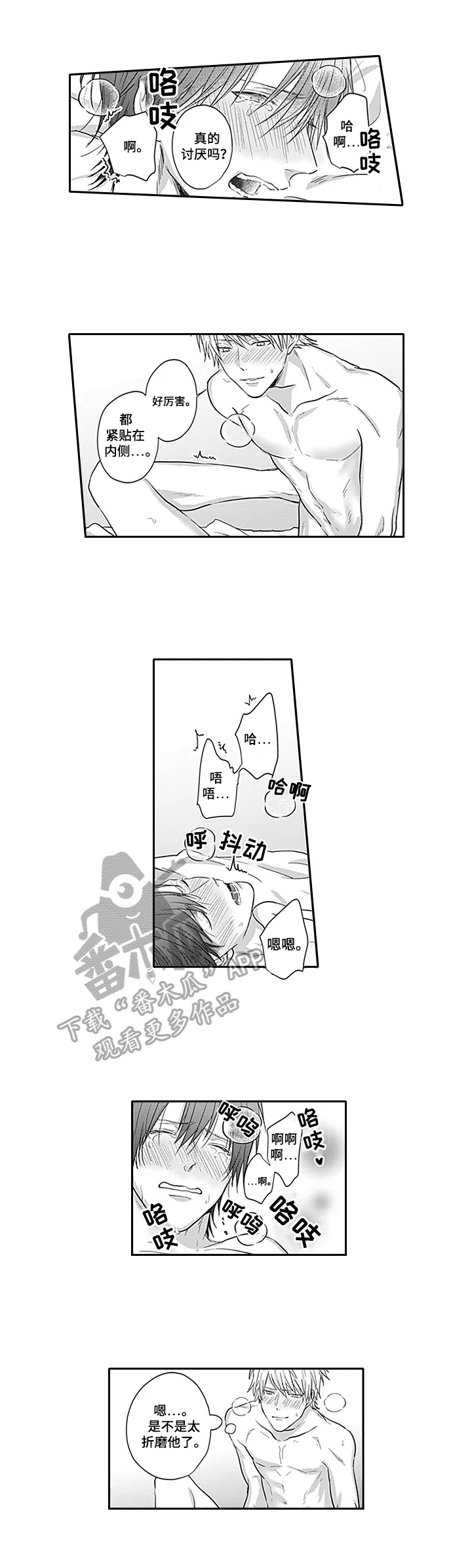 3.jpg