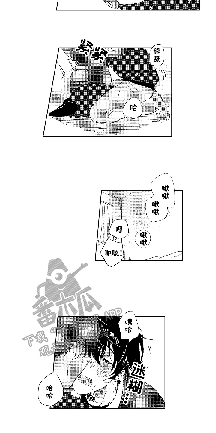 10.jpg