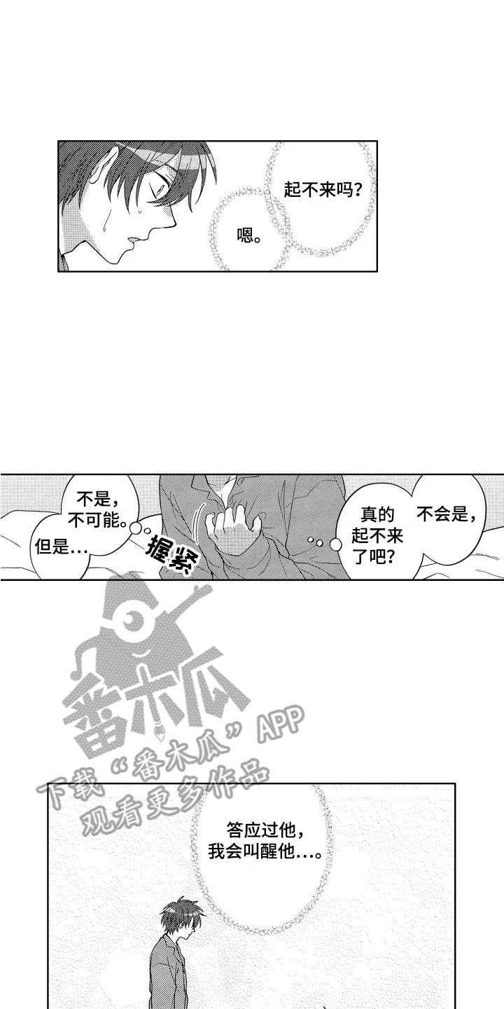 12.jpg