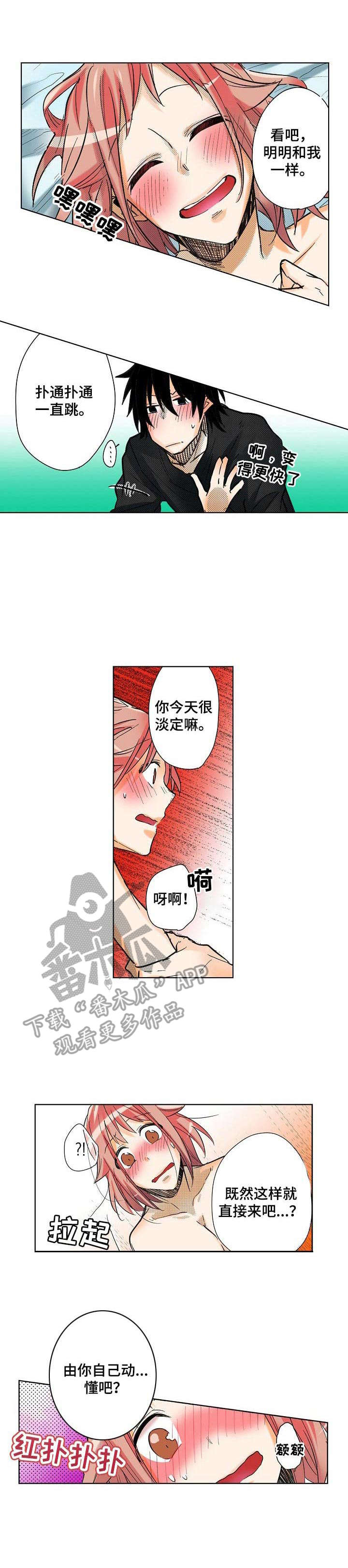 5.jpg