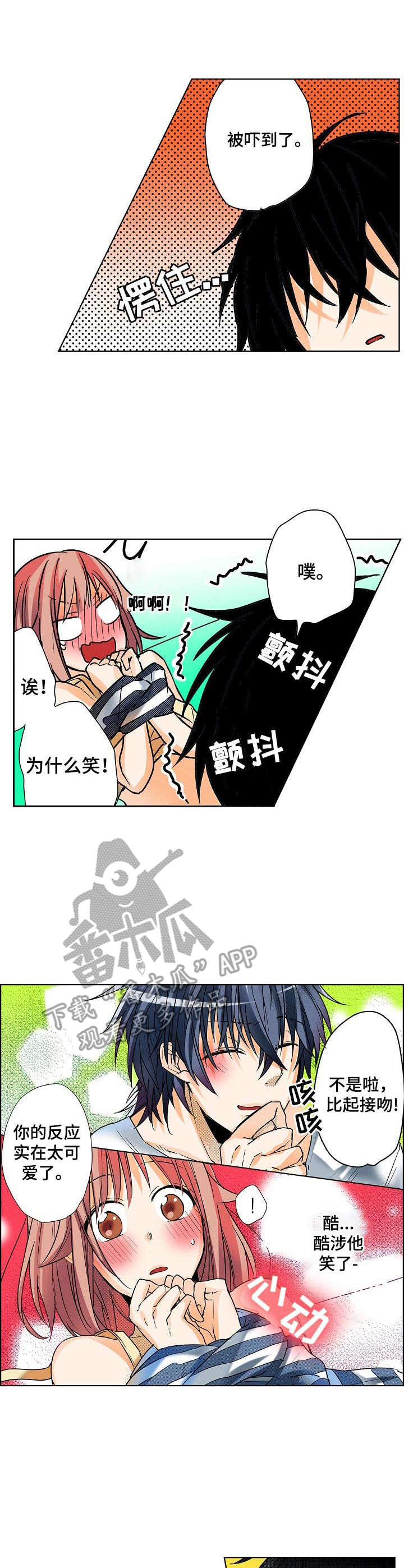6.jpg