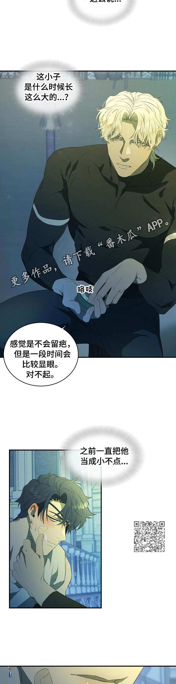 6.jpg