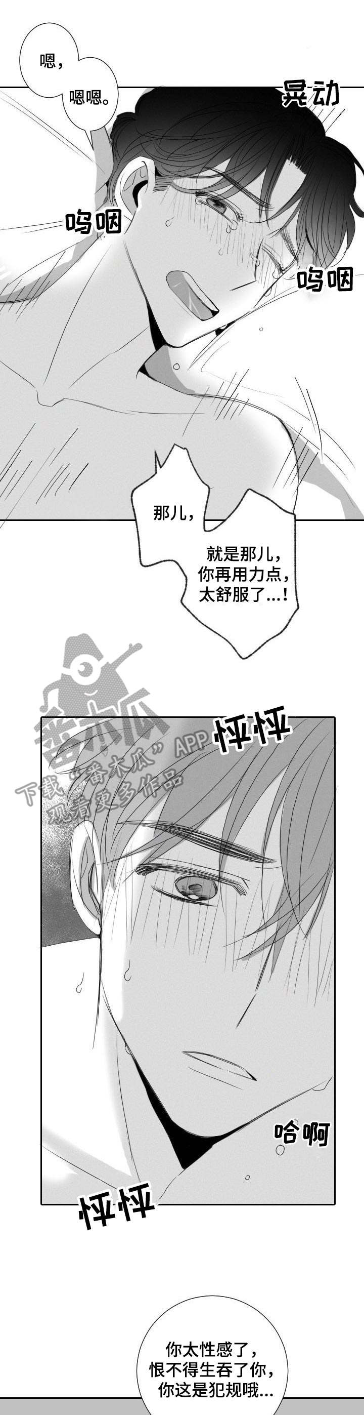 13.jpg