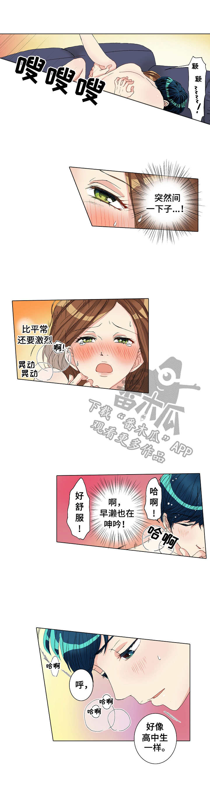 6.jpg