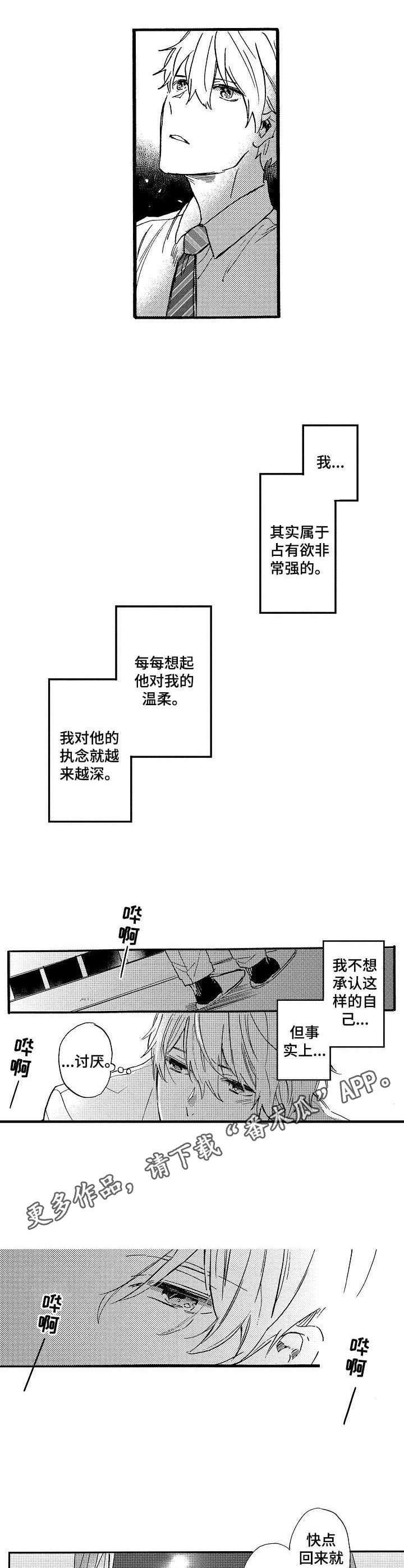 6.jpg
