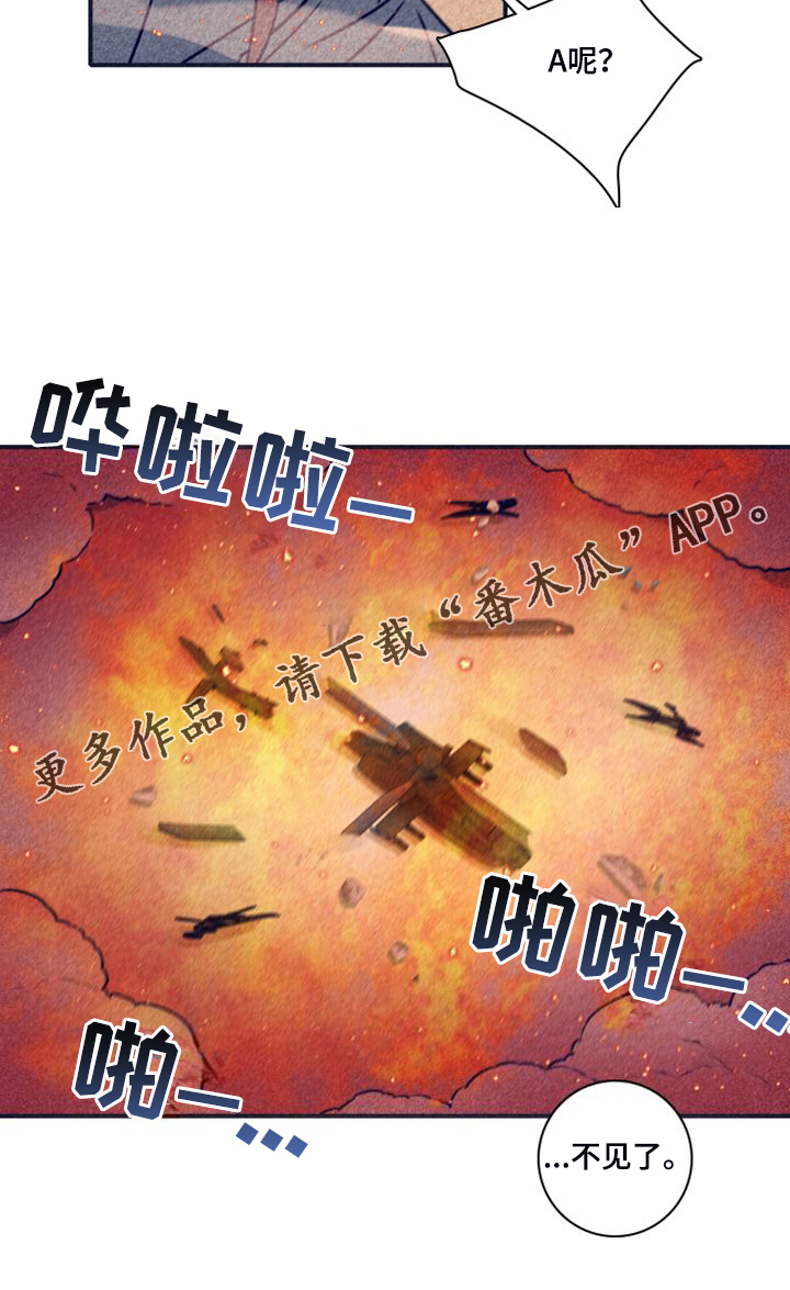 29.jpg