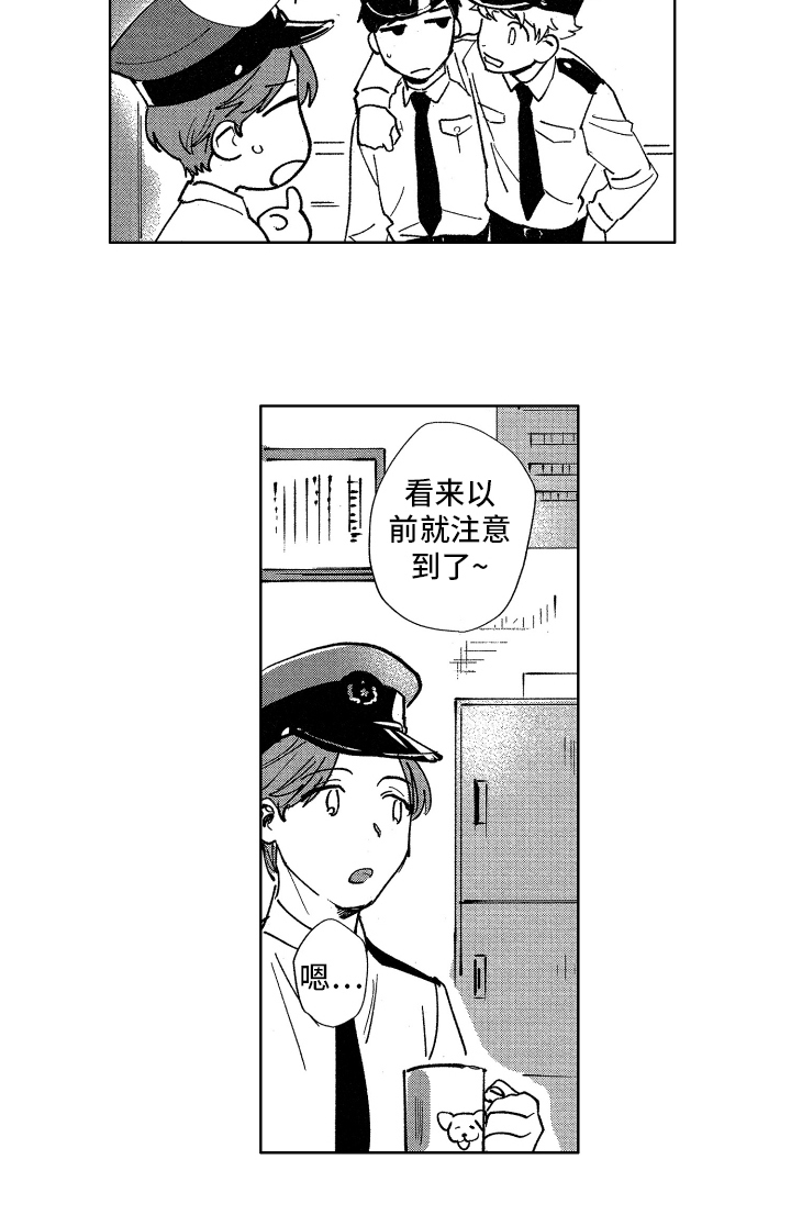 13.jpg