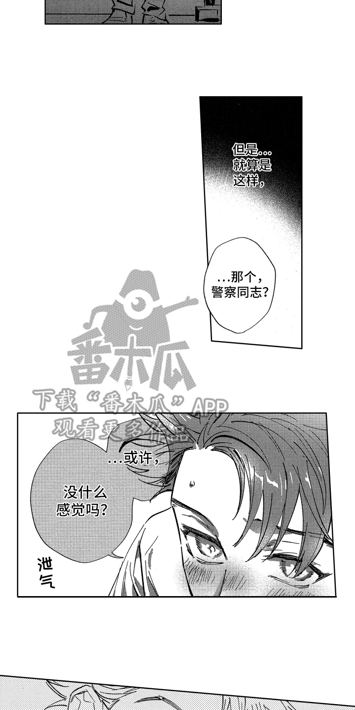 13.jpg