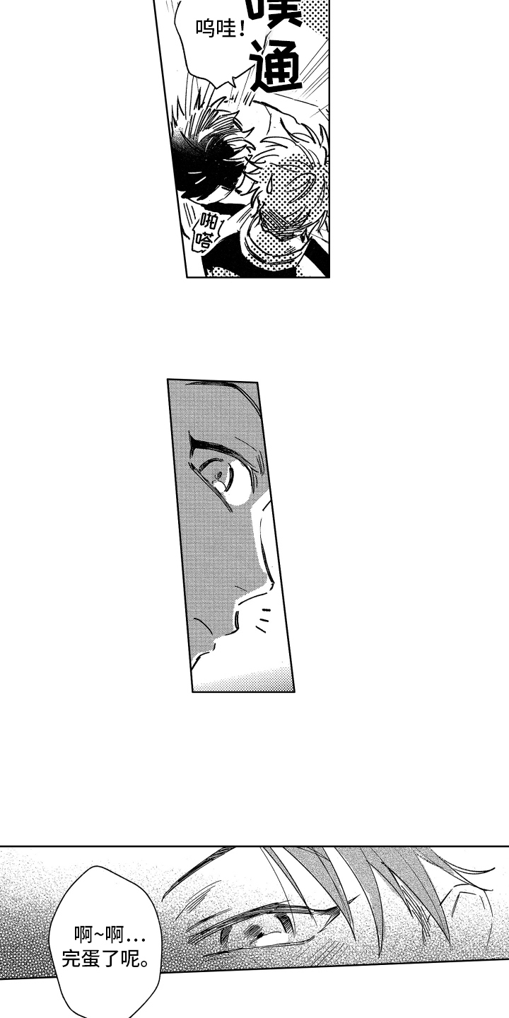 11.jpg