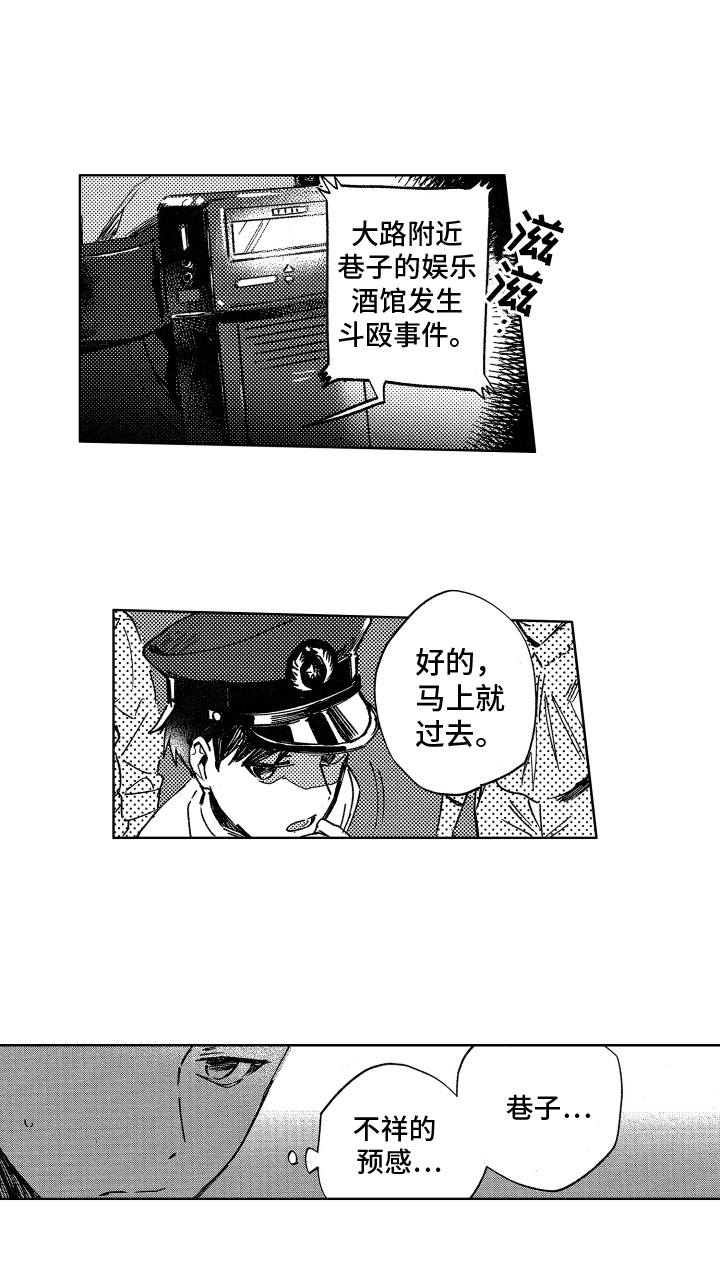 12.jpg