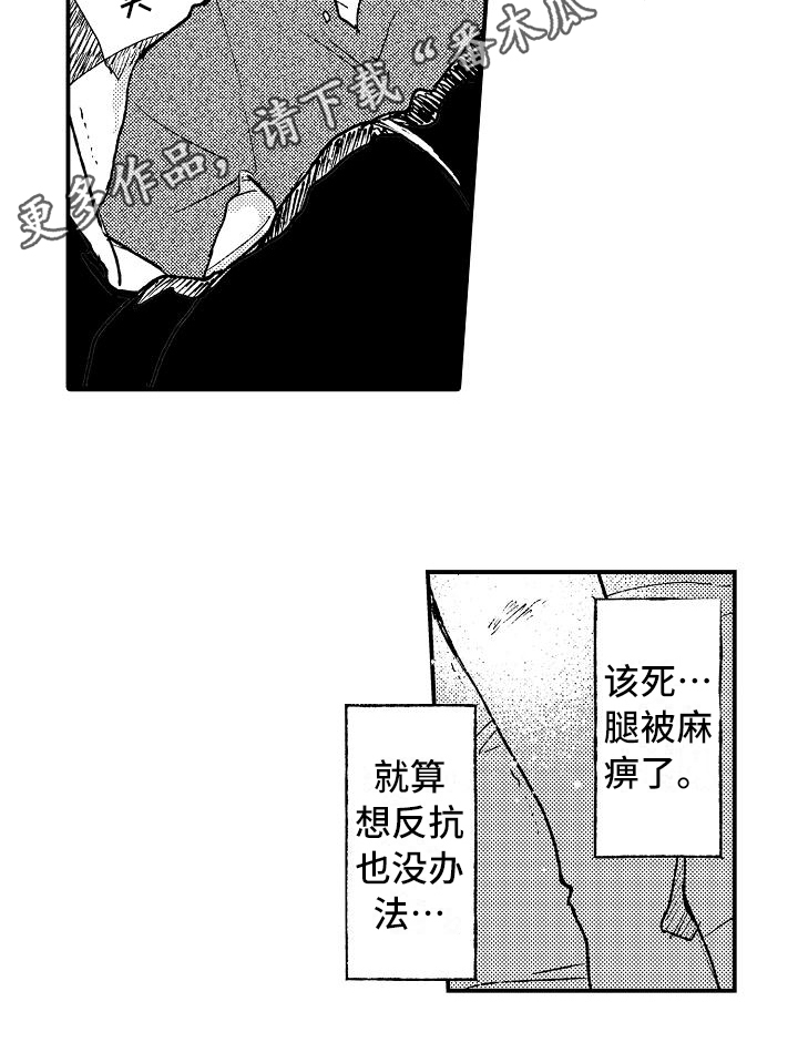 15.jpg