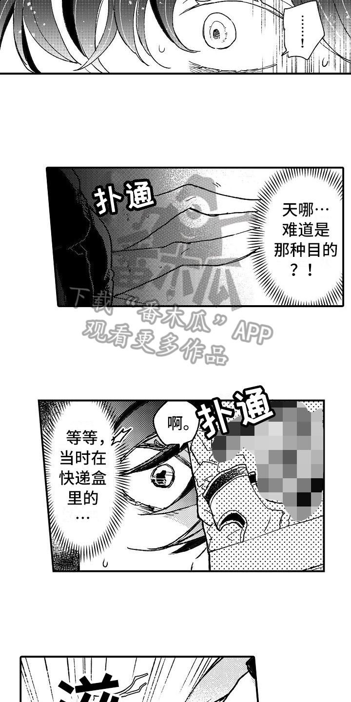 6.jpg
