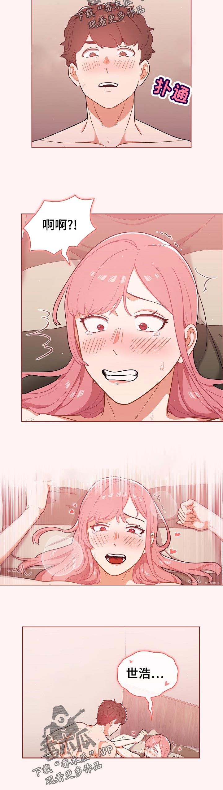 4.jpg