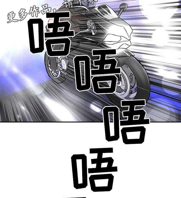 19.jpg
