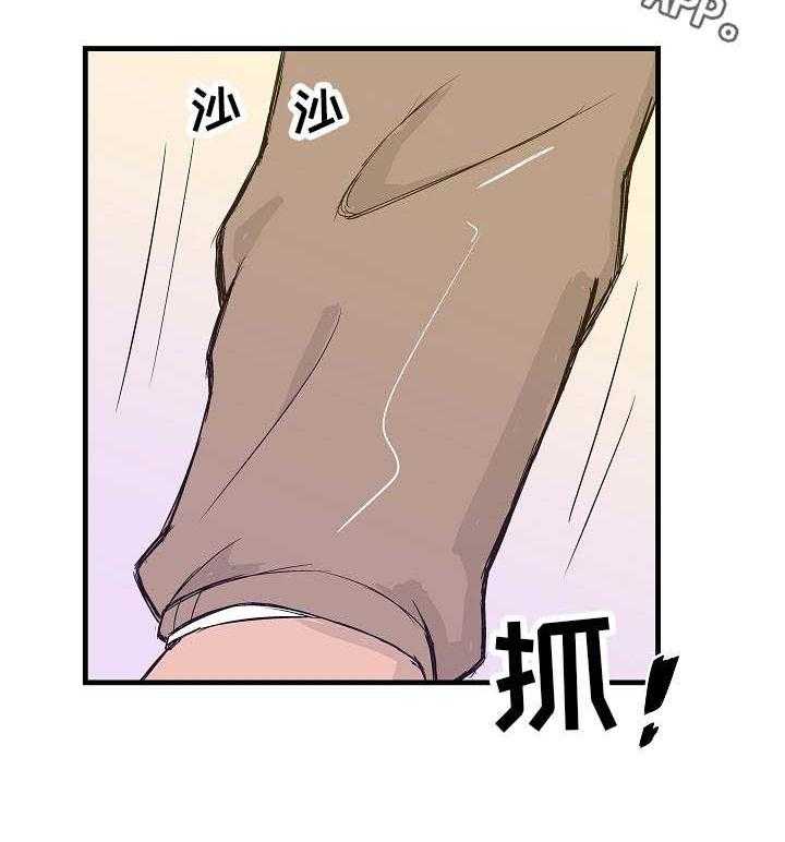 13.jpg