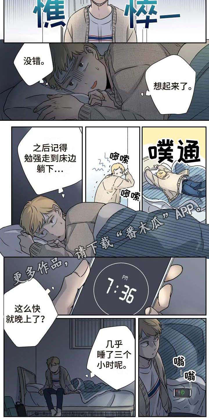 5.jpg